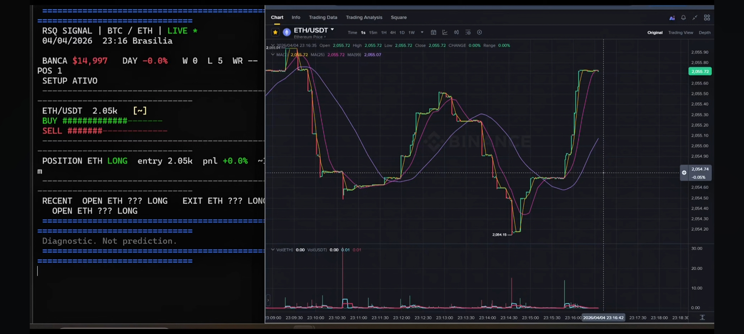 Screenshot de execução real